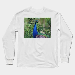 Peacock Portrait Long Sleeve T-Shirt